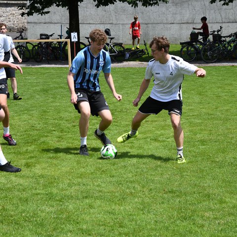 k-DSC_4707.JPG. Vergrösserte Ansicht