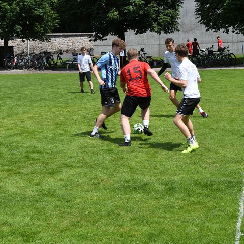 k-DSC_4711.JPG. Vergrösserte Ansicht