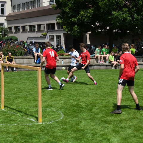 k-DSC_4713.JPG. Vergrösserte Ansicht