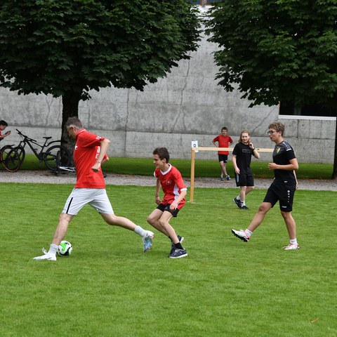 k-DSC_4723.JPG. Vergrösserte Ansicht