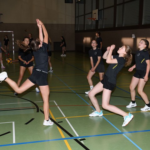 k-DSC_9050.JPG. Vergrösserte Ansicht