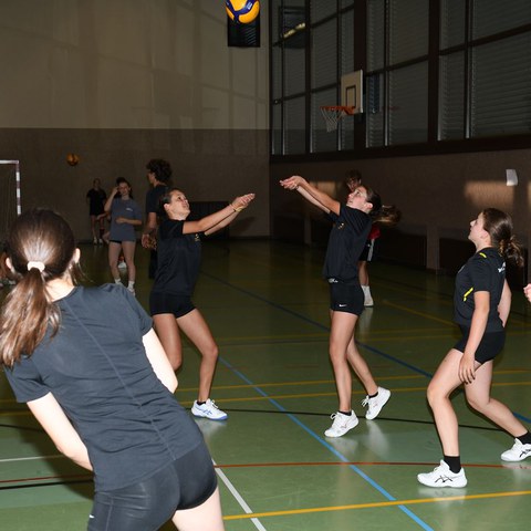 k-DSC_9054.JPG. Vergrösserte Ansicht