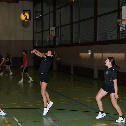 k-DSC_9055.JPG. Vergrösserte Ansicht