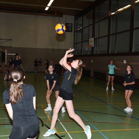 k-DSC_9059.JPG. Vergrösserte Ansicht