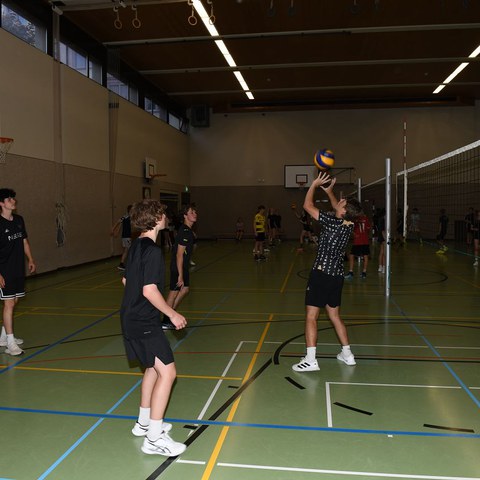 k-DSC_9062.JPG. Vergrösserte Ansicht