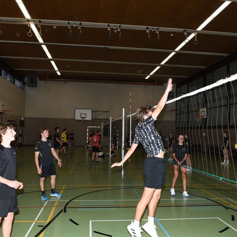 k-DSC_9065.JPG. Vergrösserte Ansicht