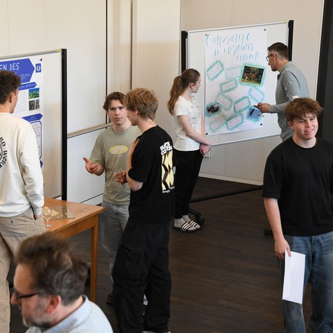 k-DSC_8397.JPG. Vergrösserte Ansicht