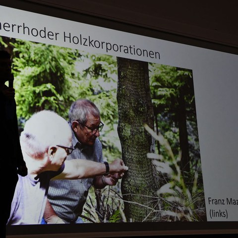 k-DSC_7098.JPG. Vergrösserte Ansicht