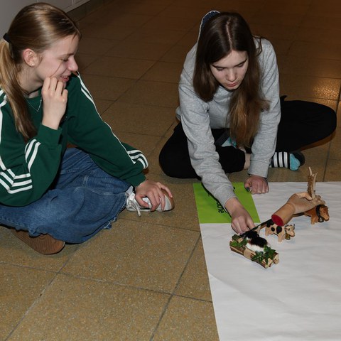 k-DSC_7120.JPG. Vergrösserte Ansicht
