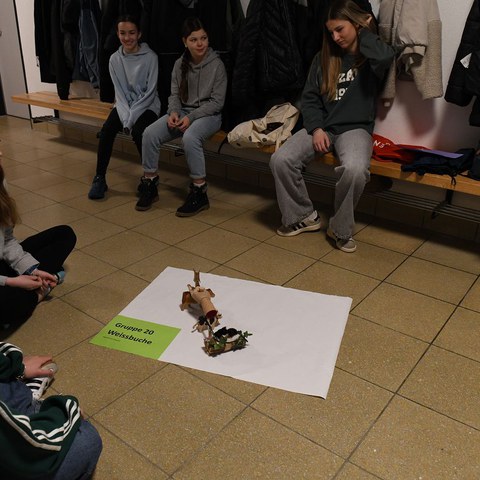 k-DSC_7123.JPG. Vergrösserte Ansicht