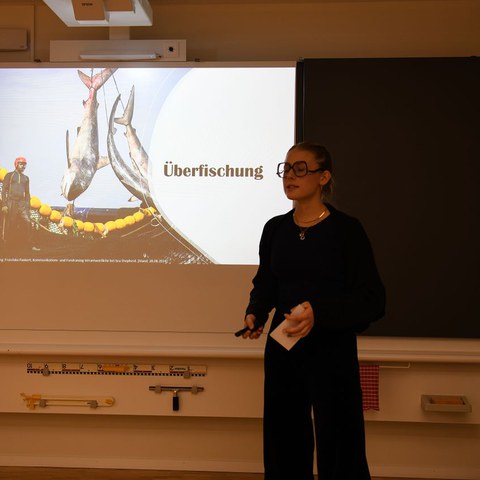 k-DSC_6860.JPG. Vergrösserte Ansicht
