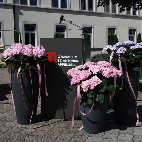 k-DSC_9100.JPG. Vergrösserte Ansicht