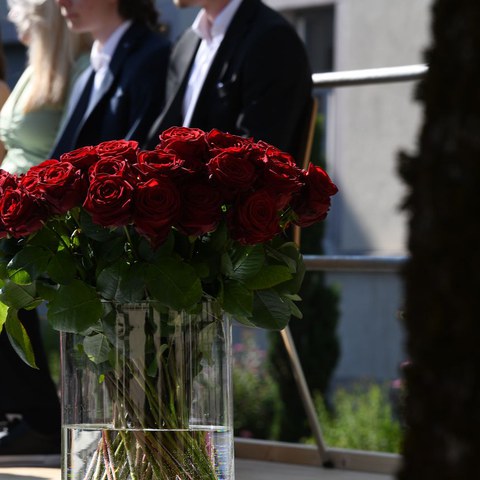 k-DSC_9210.JPG. Vergrösserte Ansicht