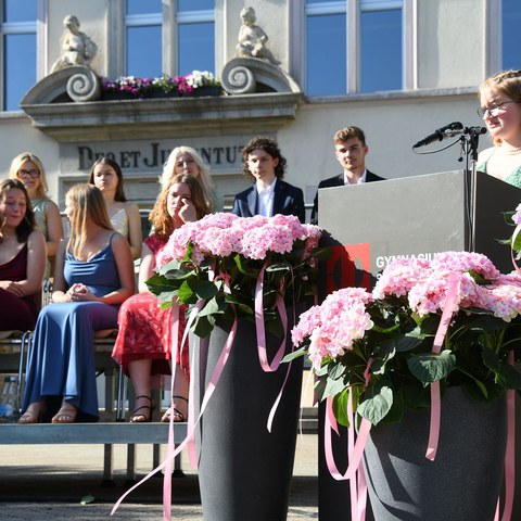 k-DSC_9306.JPG. Vergrösserte Ansicht