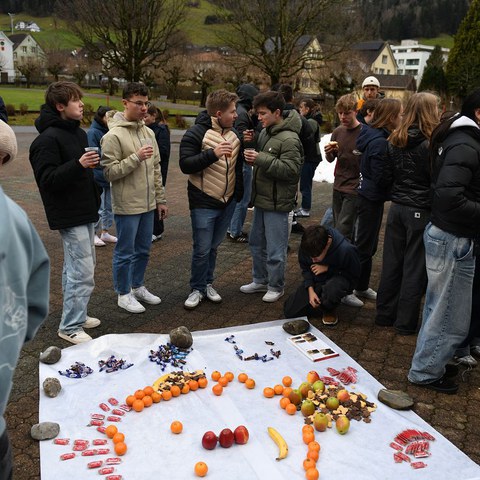 k-DSC_6724.JPG. Vergrösserte Ansicht