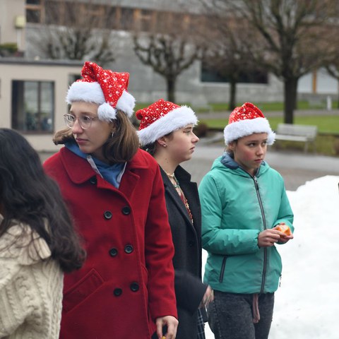 k-DSC_6737.JPG. Vergrösserte Ansicht