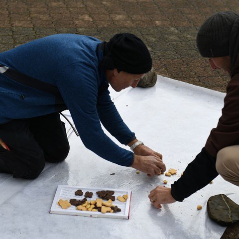 k-DSC_6742.JPG. Vergrösserte Ansicht