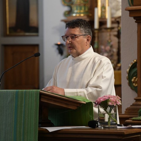 k-DSC_0730.JPG. Vergrösserte Ansicht