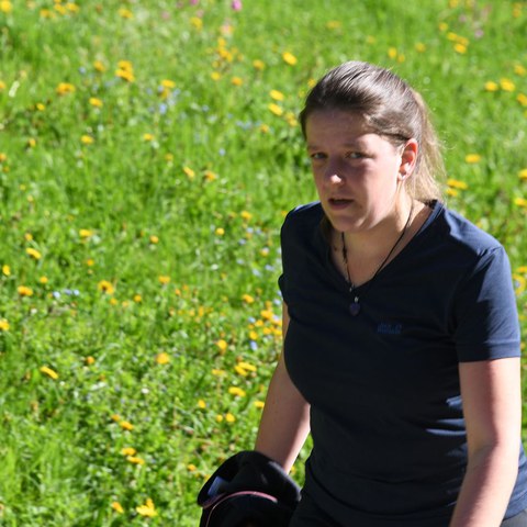 k-DSC_8711.JPG. Vergrösserte Ansicht