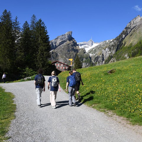 k-DSC_8716.JPG. Vergrösserte Ansicht