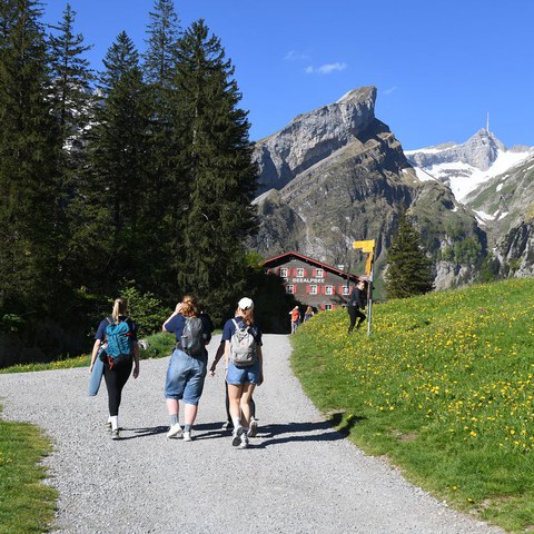 k-DSC_8721.JPG. Vergrösserte Ansicht