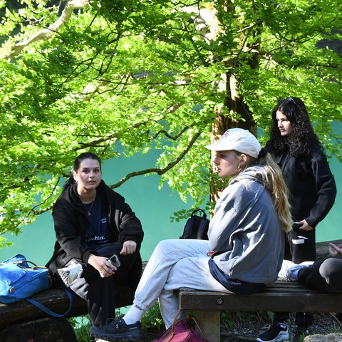 k-DSC_8741.JPG. Vergrösserte Ansicht