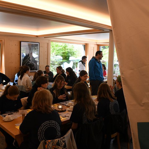 k-DSC_8781.JPG. Vergrösserte Ansicht