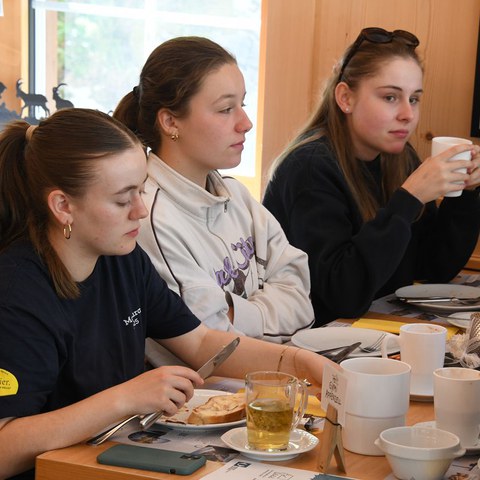 k-DSC_8795.JPG. Vergrösserte Ansicht