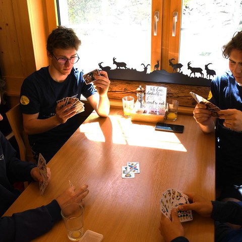 k-DSC_8796.JPG. Vergrösserte Ansicht