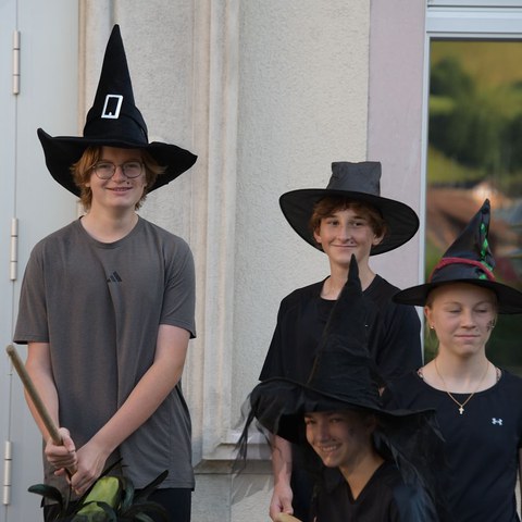 k-DSC_0087.JPG. Vergrösserte Ansicht