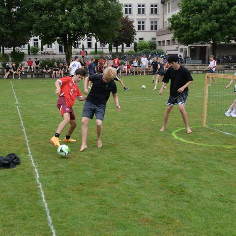 k-DSC_0617.JPG. Vergrösserte Ansicht