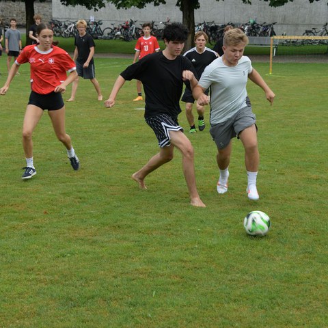 k-DSC_0620.JPG. Vergrösserte Ansicht