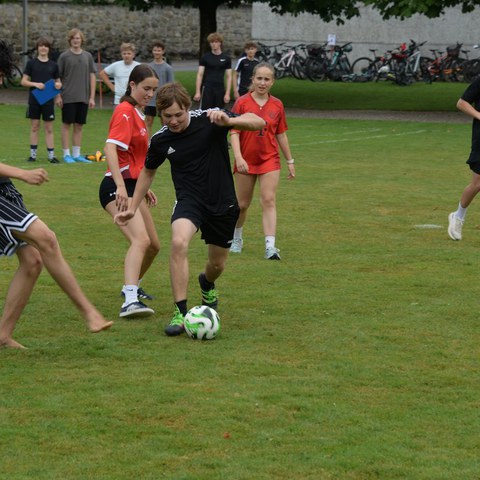 k-DSC_0622.JPG. Vergrösserte Ansicht