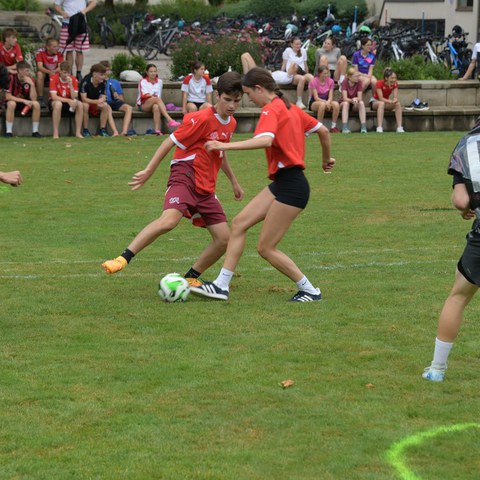 k-DSC_0628.JPG. Vergrösserte Ansicht