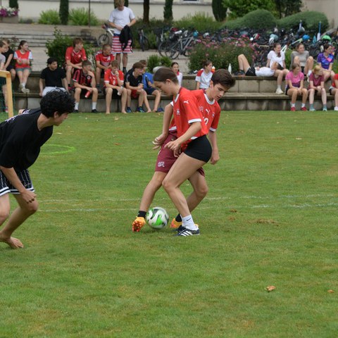 k-DSC_0629.JPG. Vergrösserte Ansicht