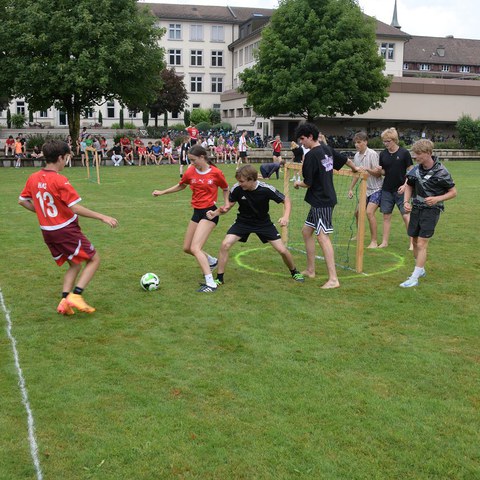 k-DSC_0635.JPG. Vergrösserte Ansicht