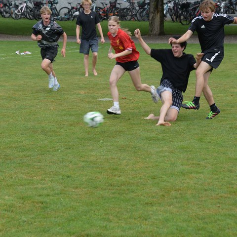 k-DSC_0647.JPG. Vergrösserte Ansicht