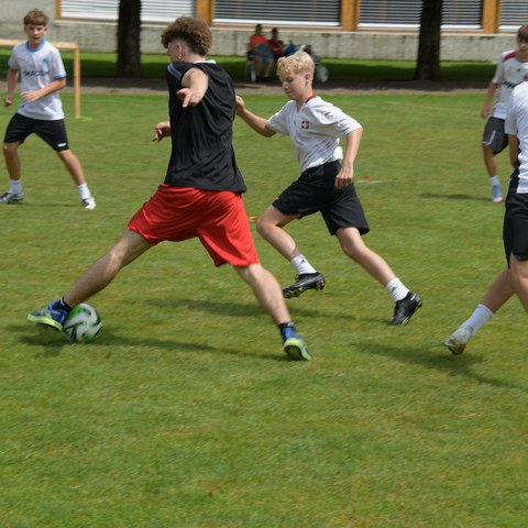 k-DSC_0649.JPG. Vergrösserte Ansicht