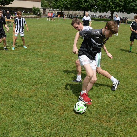 k-DSC_0656.JPG. Vergrösserte Ansicht