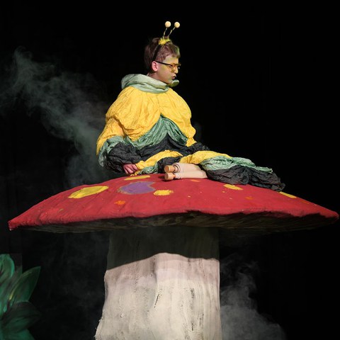 k-DSC_7383.JPG. Vergrösserte Ansicht