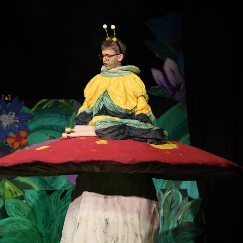 k-DSC_7385.JPG. Vergrösserte Ansicht