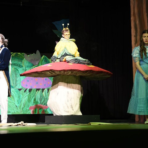 k-DSC_7393.JPG. Vergrösserte Ansicht