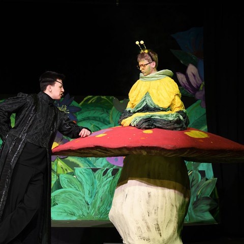 k-DSC_7399.JPG. Vergrösserte Ansicht