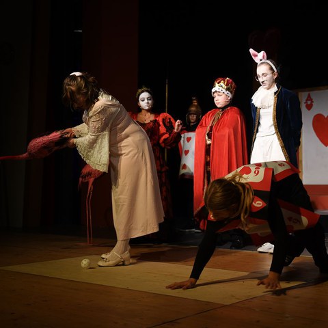 k-DSC_7465.JPG. Vergrösserte Ansicht