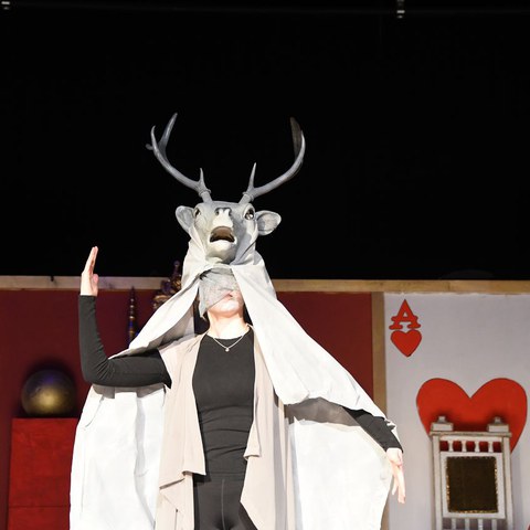 k-DSC_7478.JPG. Vergrösserte Ansicht