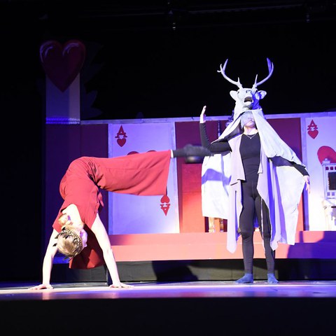 k-DSC_7479.JPG. Vergrösserte Ansicht