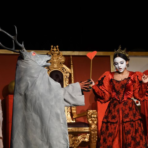 k-DSC_7501.JPG. Vergrösserte Ansicht