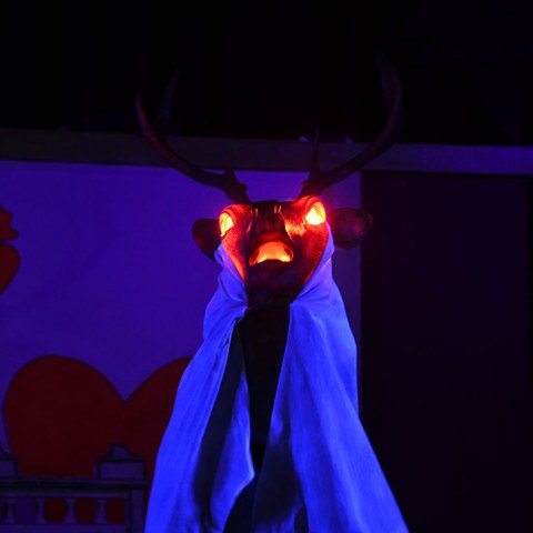 k-DSC_7566.JPG. Vergrösserte Ansicht