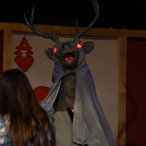 k-DSC_7573.JPG. Vergrösserte Ansicht