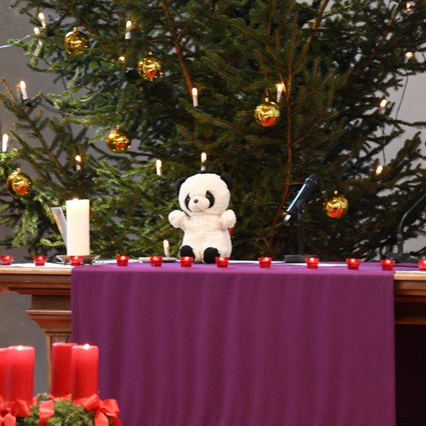 k-DSC_7048.JPG. Vergrösserte Ansicht